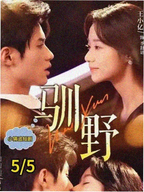 剧集出海观察